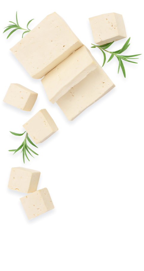 Tofu Background